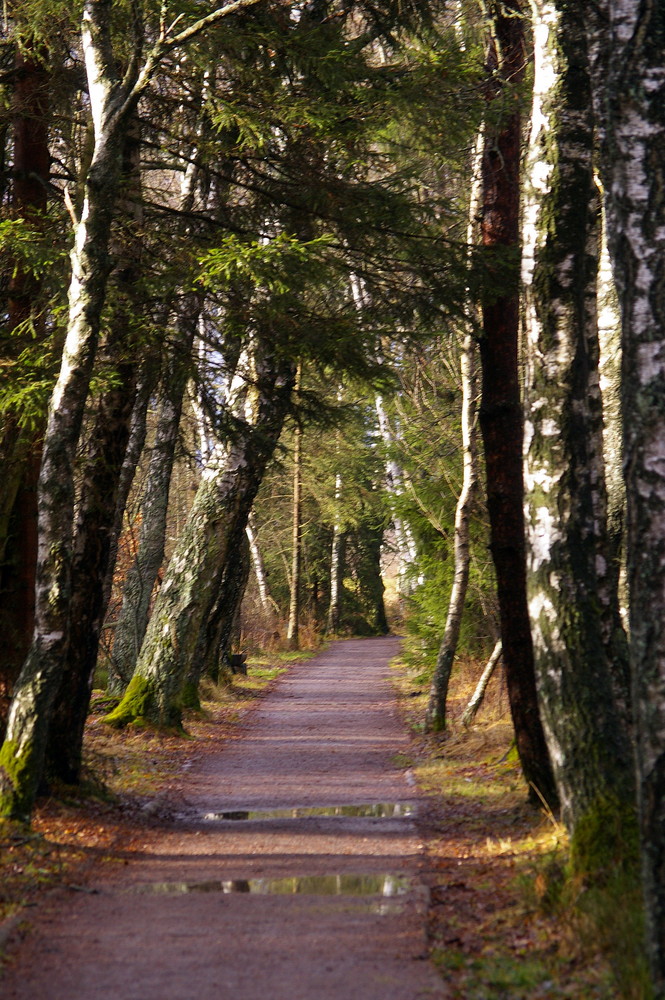 der Weg zum Ziel