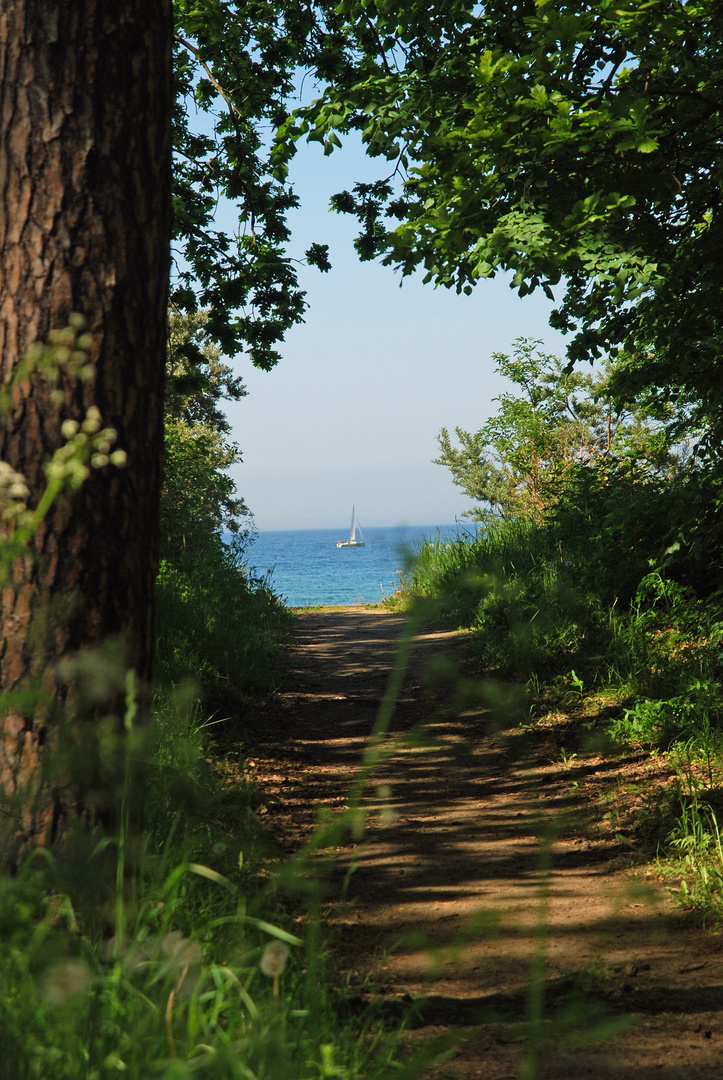 Der Weg zum Ziel