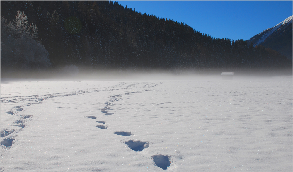 Der Weg zum Ziel