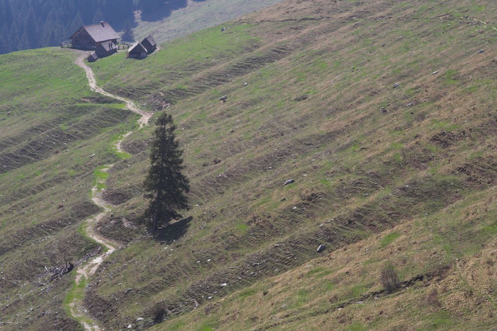 Der Weg zur Almhütte