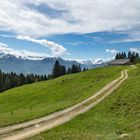 Der Weg zur Alp