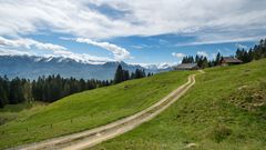 Der Weg zur Alp