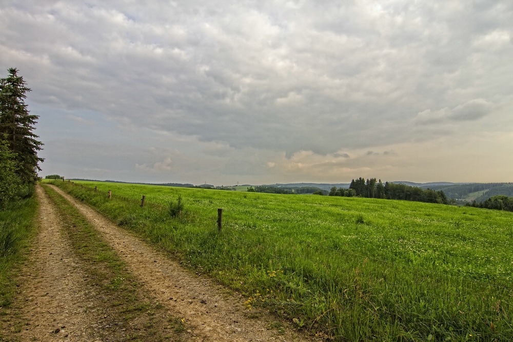 Der Weg zur Bank