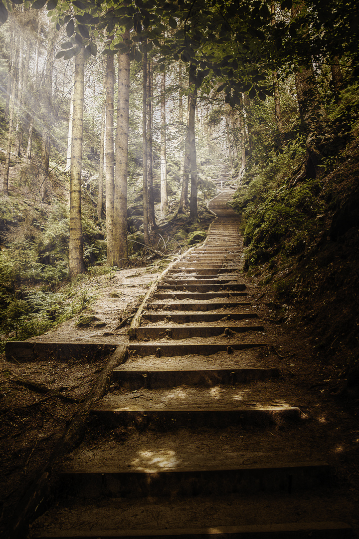 Der Weg zur Bastei 