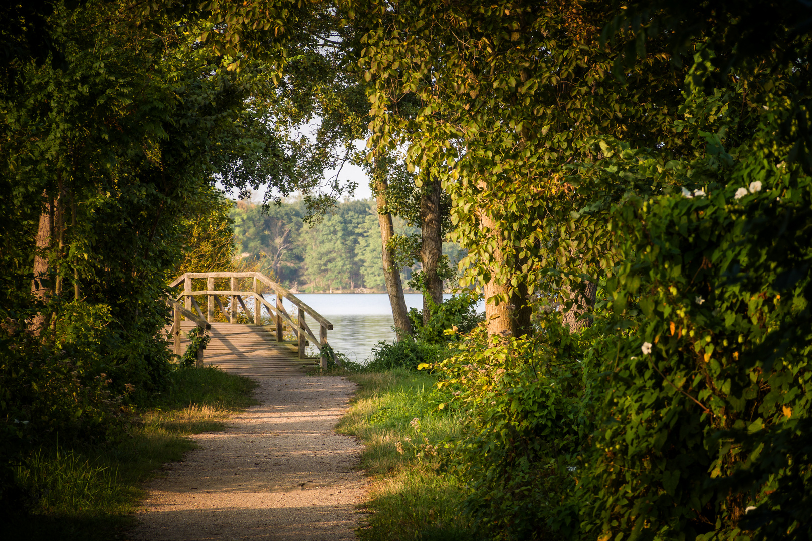 Der Weg zur Brücke