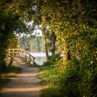 Der Weg zur Brücke