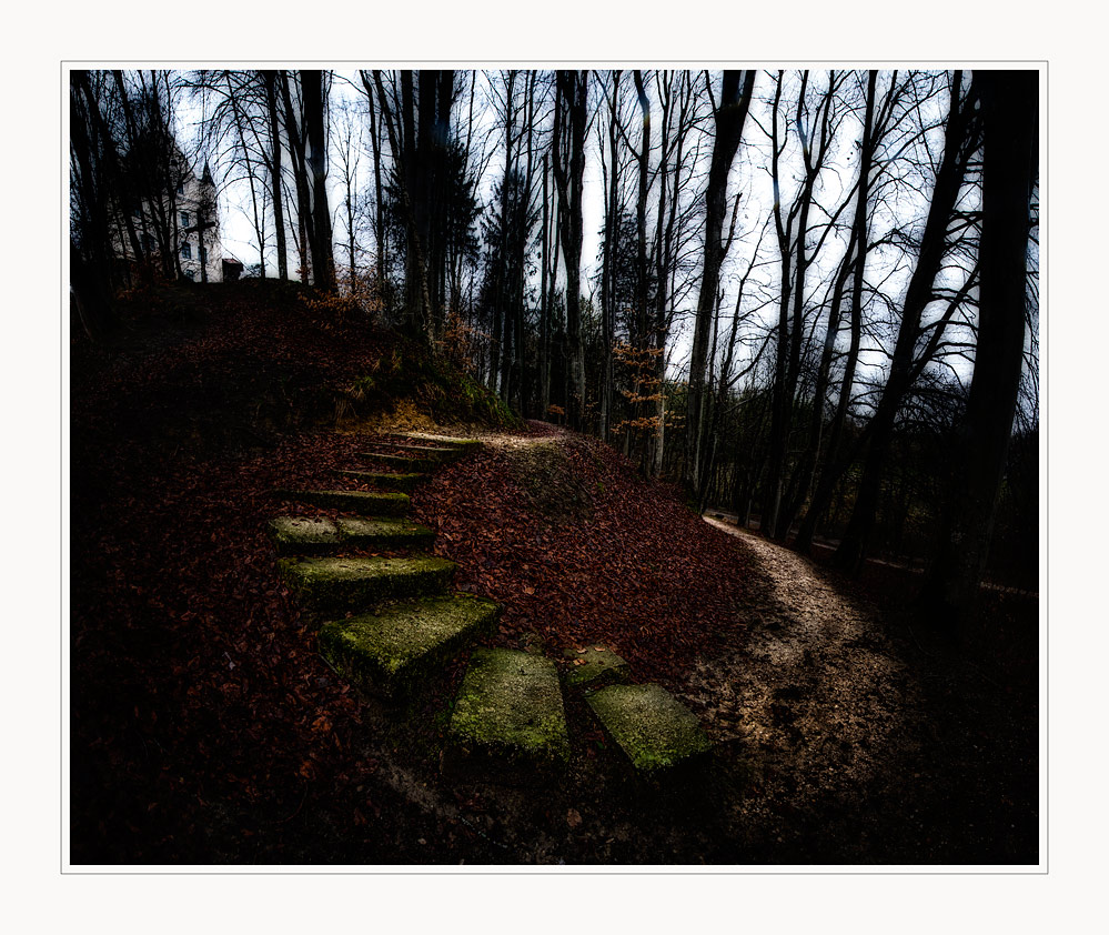 Der Weg zur Burg