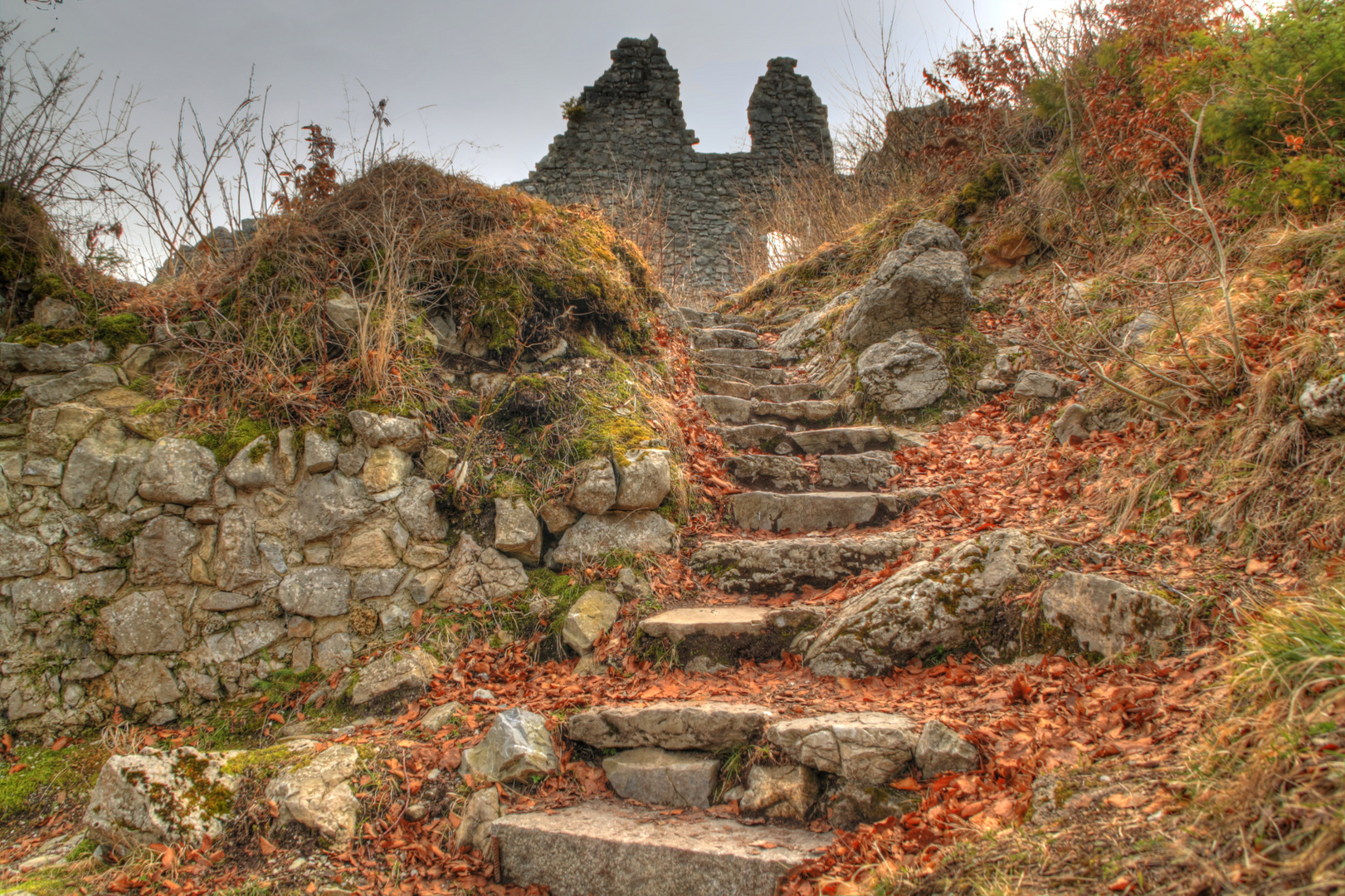 Der weg zur Burgruine