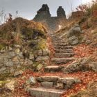 Der weg zur Burgruine