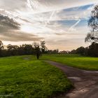 Der Weg zur Elbe