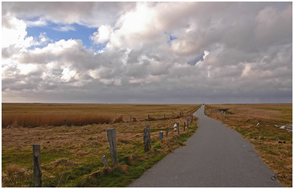 Der Weg zur Elbe