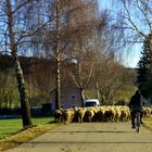 Der Weg zur "Entschleunigung"