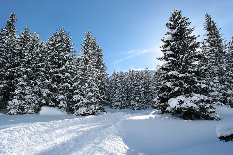 Der Weg zur Hütte