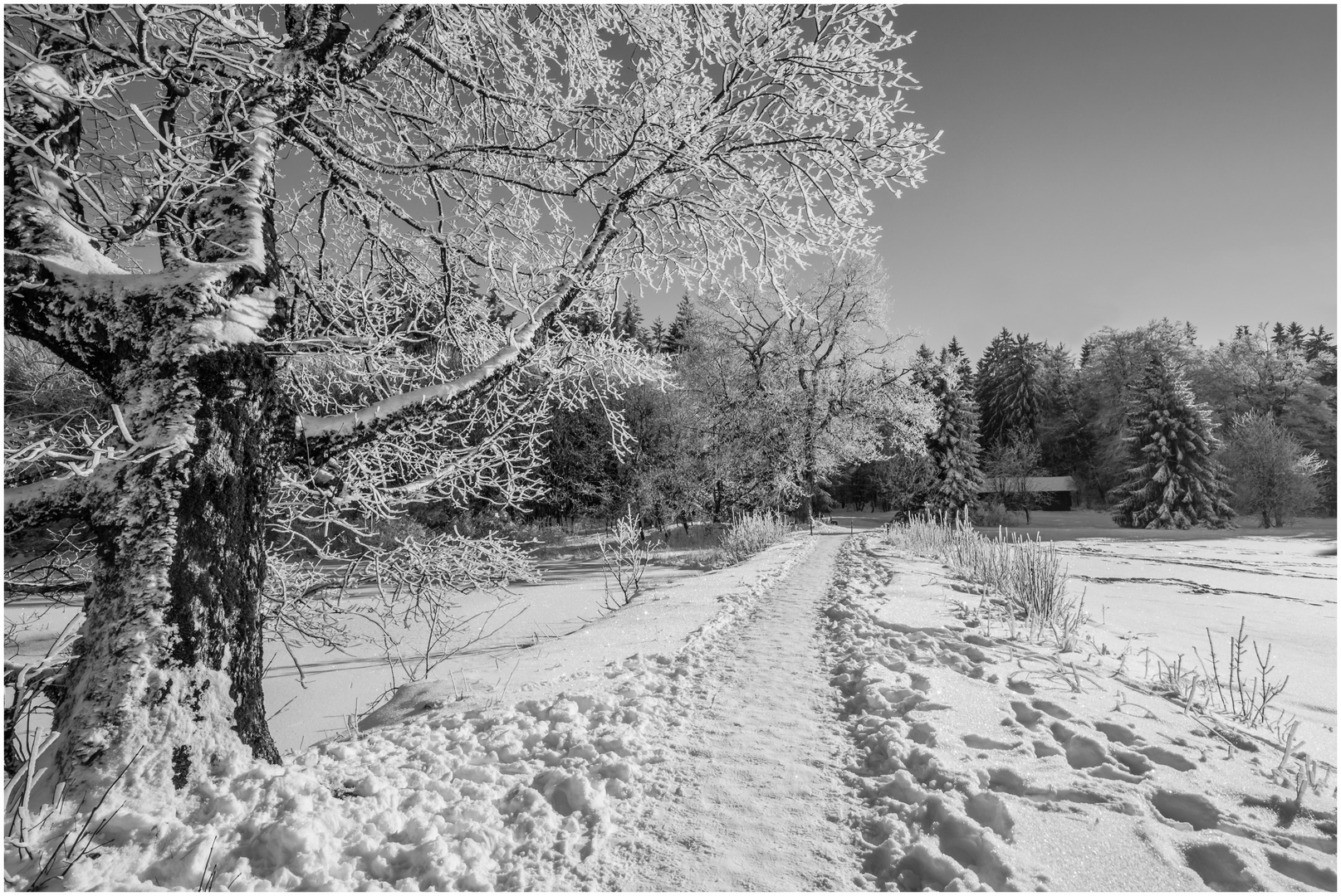 Der weg zur Hütte