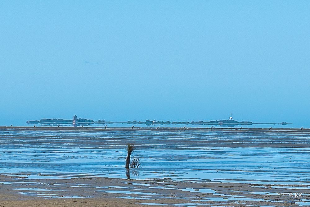 Der Weg zur Insel Neuwerk