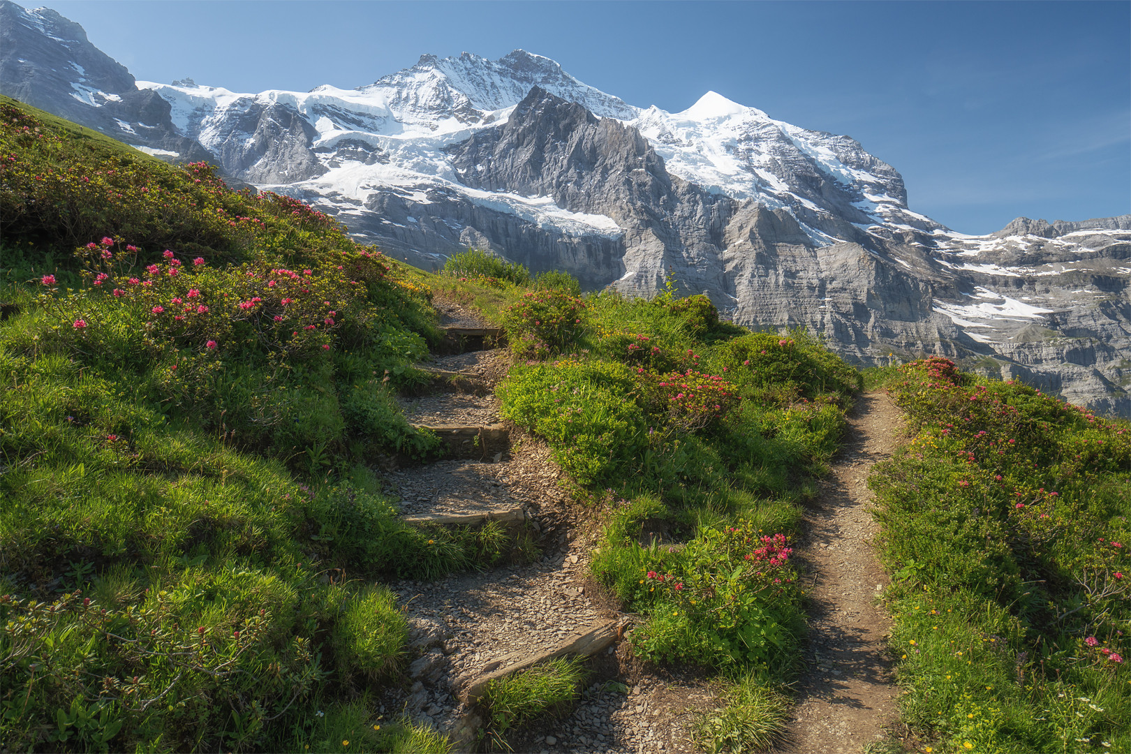 Der Weg zur Jungfrau