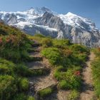 Der Weg zur Jungfrau