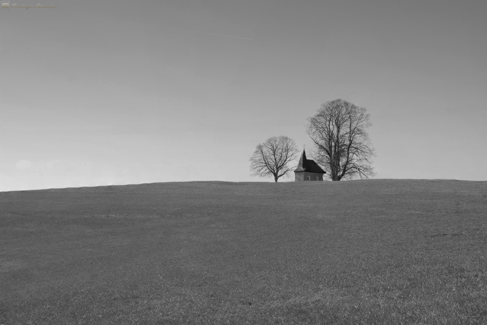 Der Weg zur Kapelle.