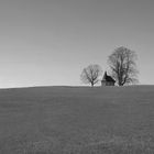 Der Weg zur Kapelle.