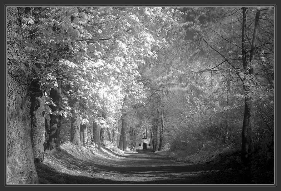 Der Weg zur Kapelle 