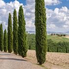 der Weg zur Kapelle, Toscana