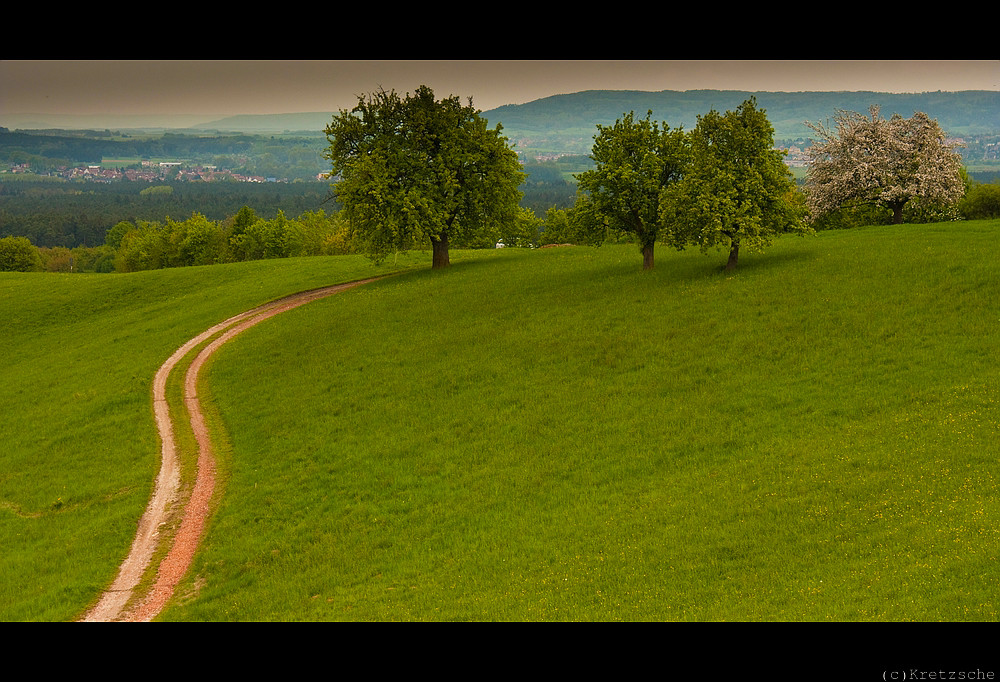 Der Weg zur Kirsche