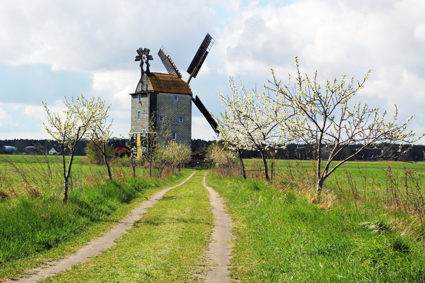 Der Weg zur Mühle