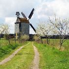 Der Weg zur Mühle