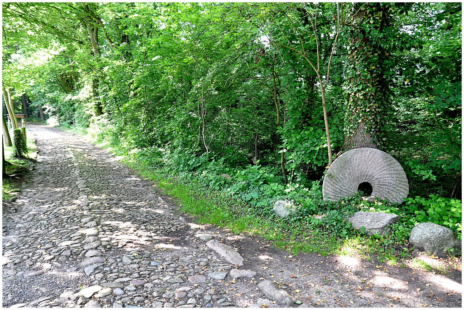 Der Weg zur Mühle