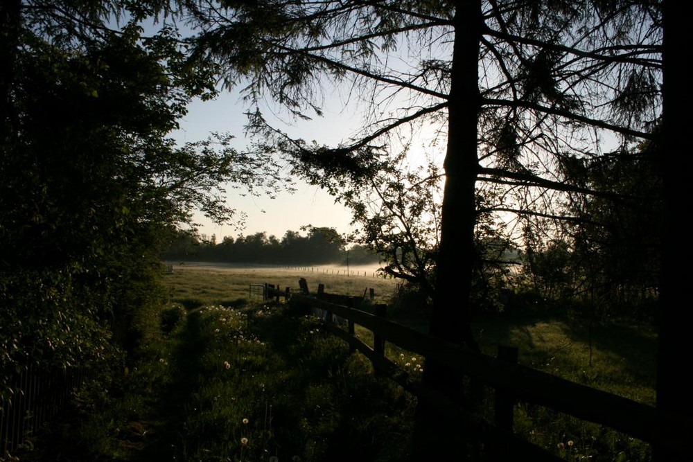 Der Weg zur Natur