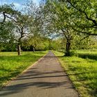 Der Weg zur Natur