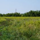 Der Weg zur Natur