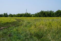 Der Weg zur Natur