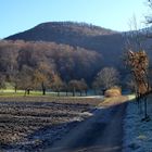 Der Weg zur Pferdeweide