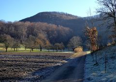 Der Weg zur Pferdeweide