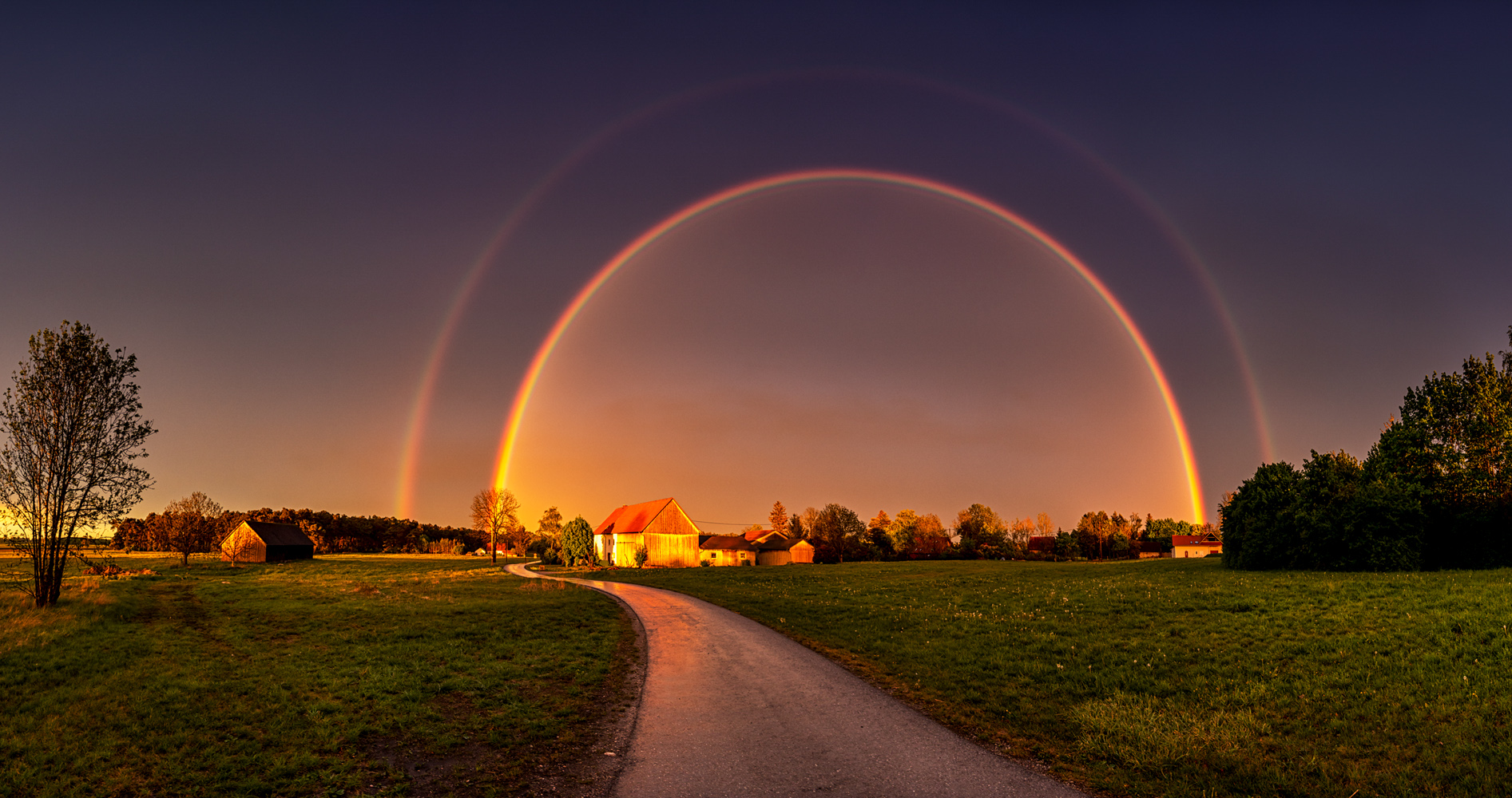 der weg zur regenbogenbrücke