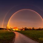 der weg zur regenbogenbrücke