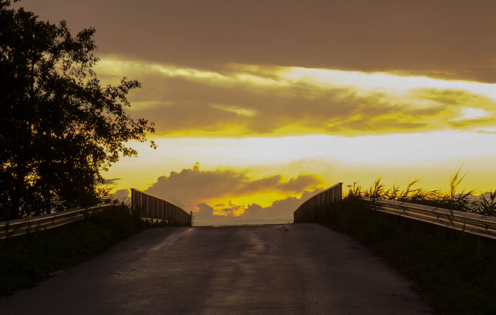 Der weg zur Sonne