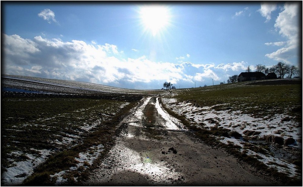 Der Weg zur Sonne....