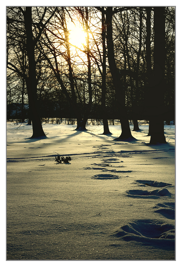 Der Weg zur Sonne...