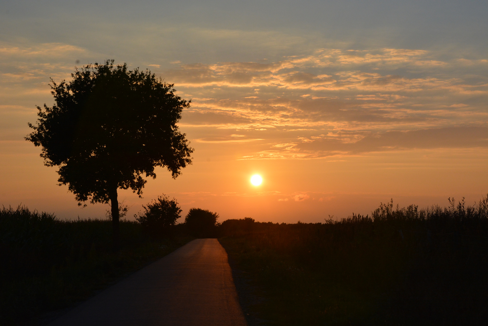 Der Weg zur Sonne...