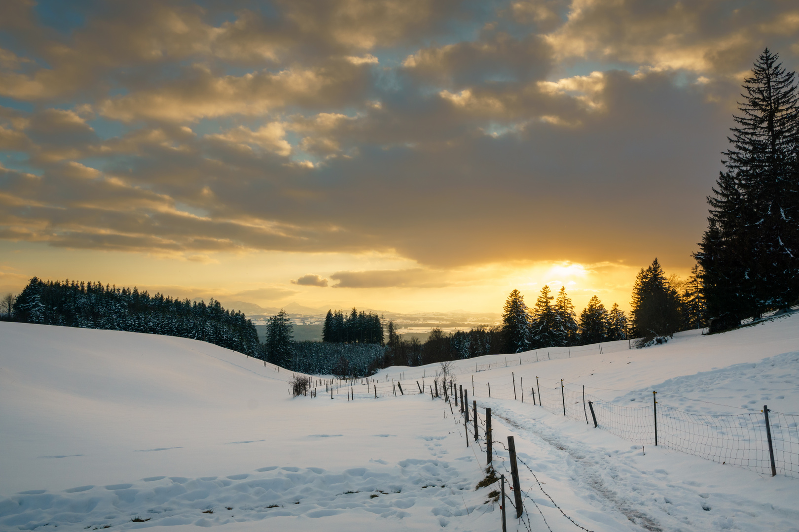 Der Weg zur Sonne