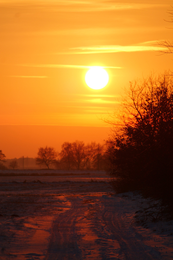 Der Weg zur Sonne