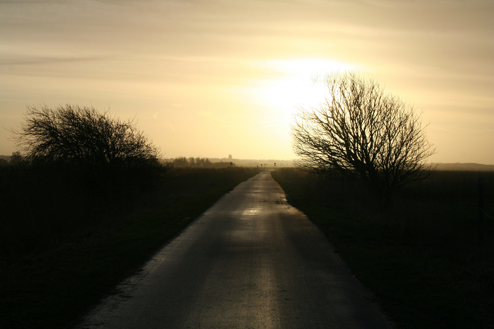 Der Weg zur Sonne...