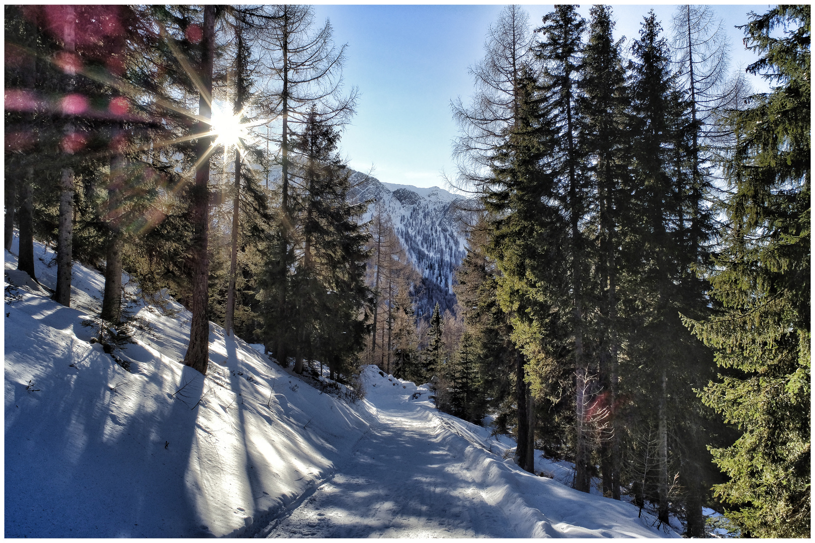 Der Weg zur Stegeralm, Prettau, Südtirol