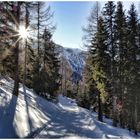 Der Weg zur Stegeralm, Prettau, Südtirol