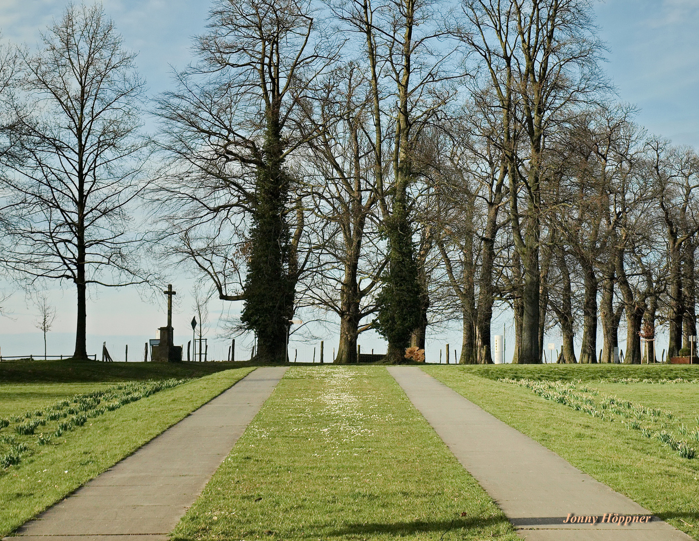 Der Weg zur Straße