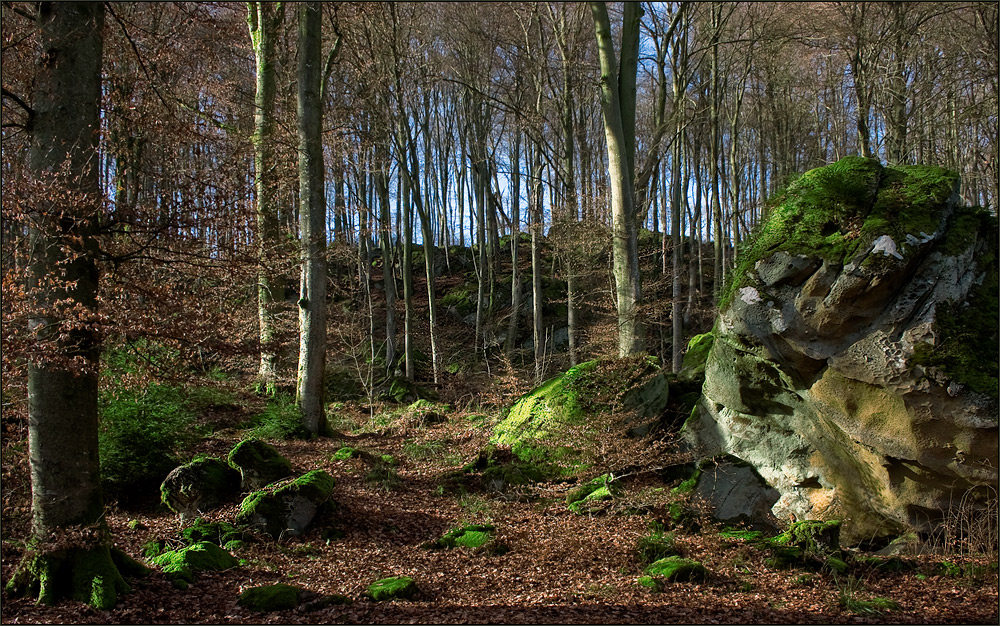 Der Weg zur Teufelsschlucht...