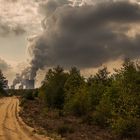 Der Weg zur Wolkenfabrik ....