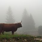 Der Weg zur Zugspitze